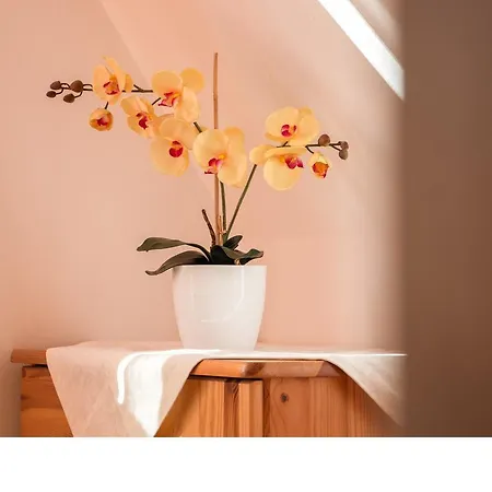 Homestay szállás Trebunia Zakopane